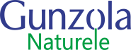 Gunzola